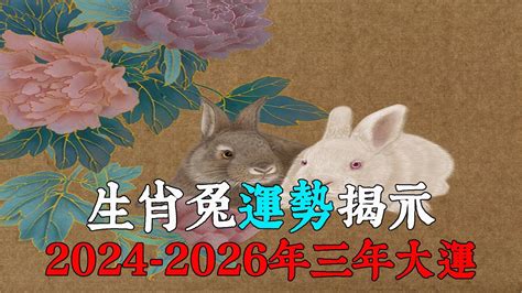 屬兔 2024|2024生肖兔整年運勢一次看！多注意健康、主動做一。